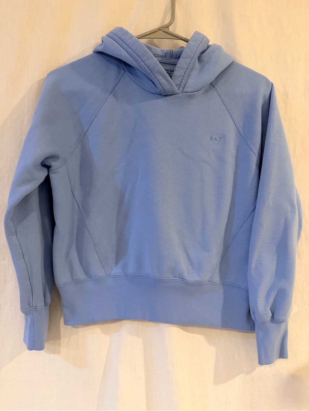 Girls Abercrombie Hoodie